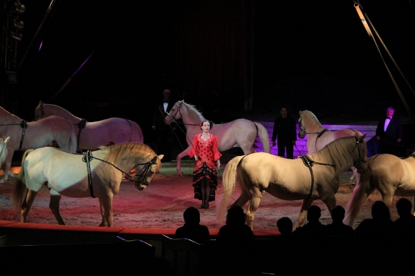Krone2011   082.jpg